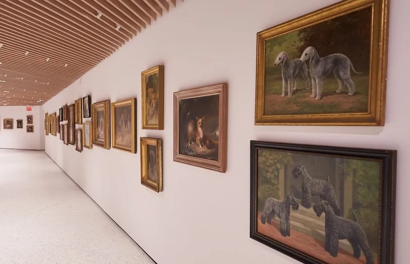 American Kennel Club Museum of the Dog