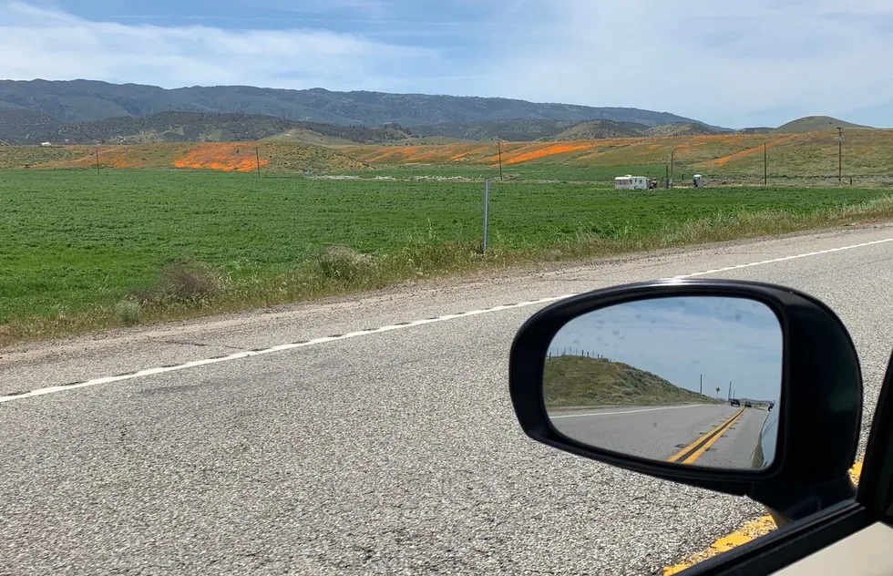 view out car window with mirror of rural area