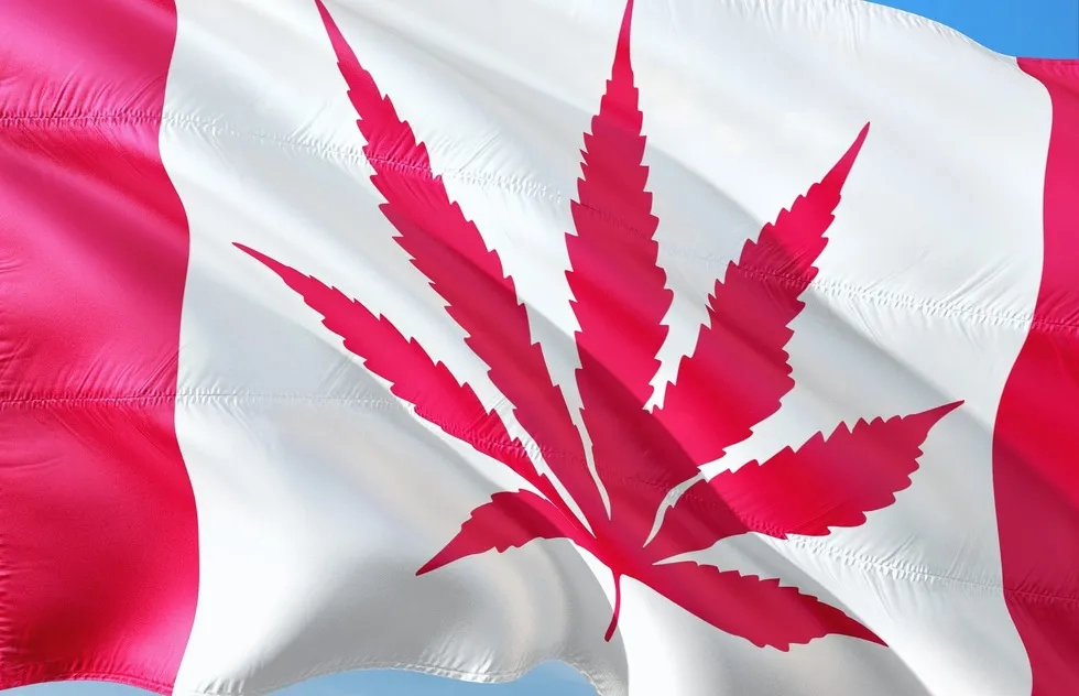 Canadian flag with marijana leaf instead of maple leaf