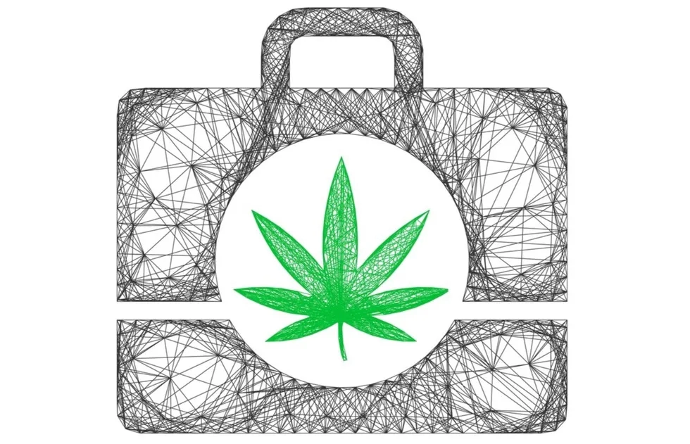 cannabis leaf in suitcase sketch (illo)
