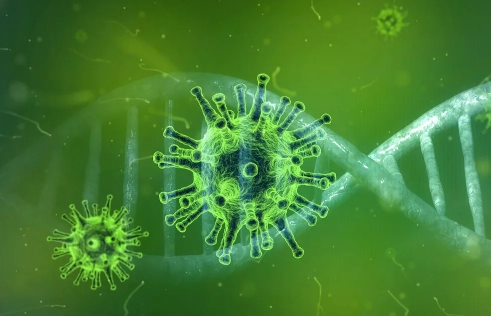 Corona Virus