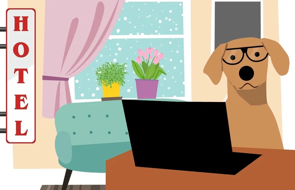 illustration of dog at laptop with hotel sign in room