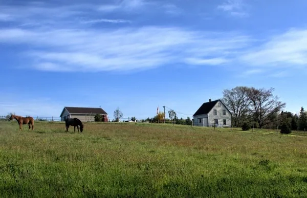 Farming