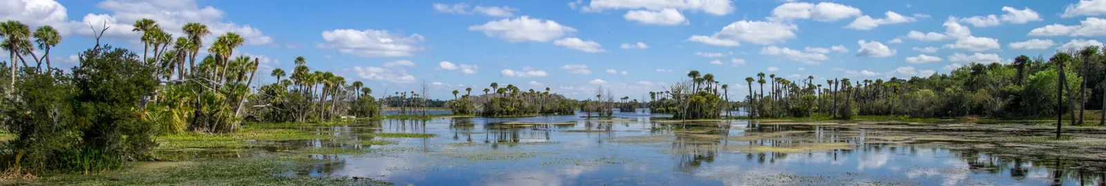 Exploring South Walton, Florida