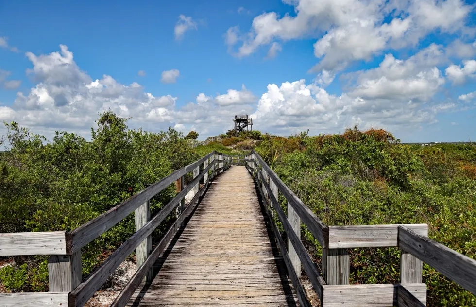 Hobe Mountain, Jonathan Dickinson State Park