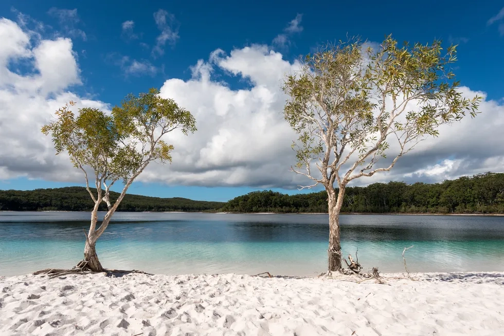 Lake McKenzie, K’Gari (Fraser Island), Queensland, Australia,