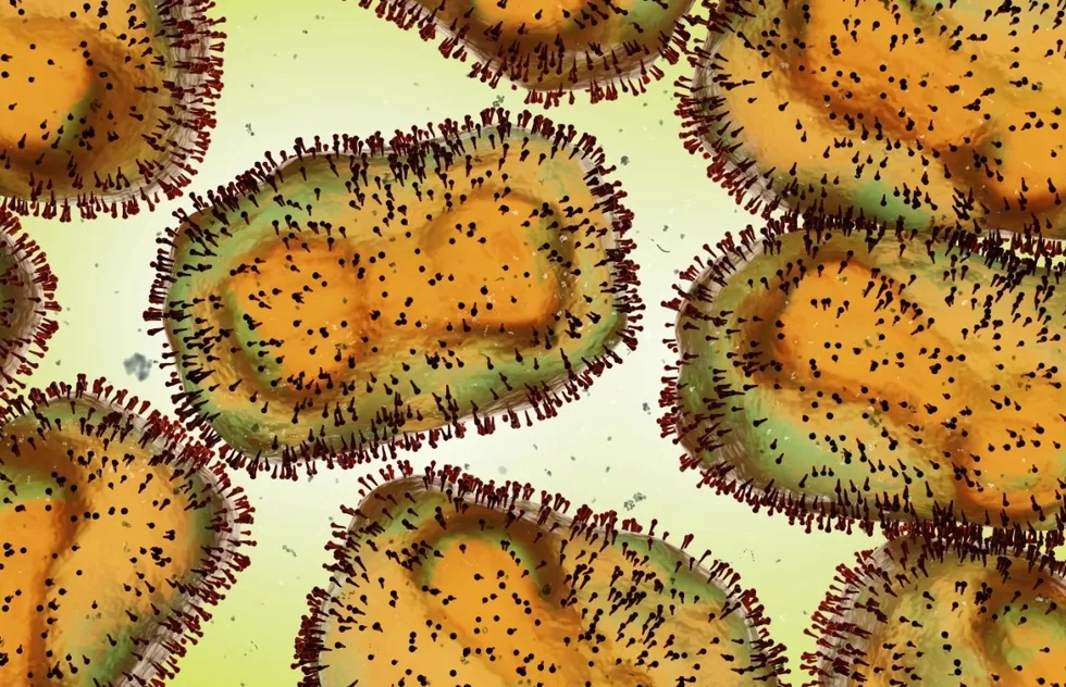 mpox monkeypox under microscope