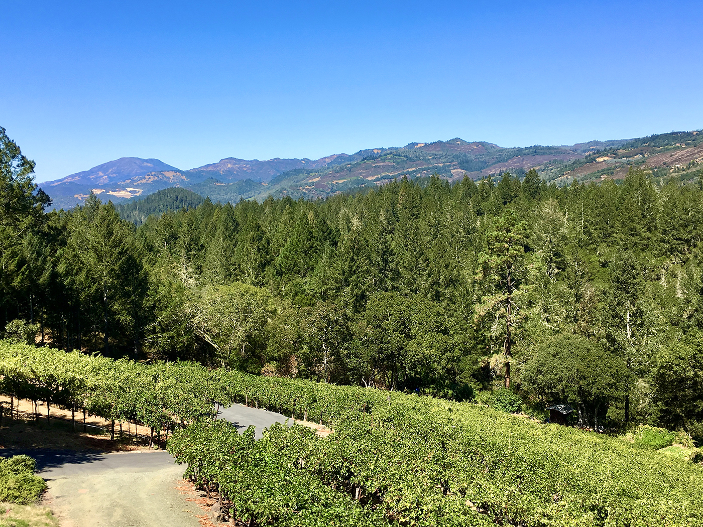 Napa Valley, California, USA, Travel