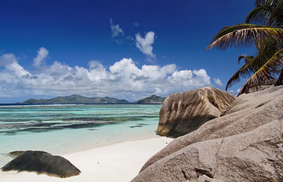 palm trees, stones, beach in Seychelles