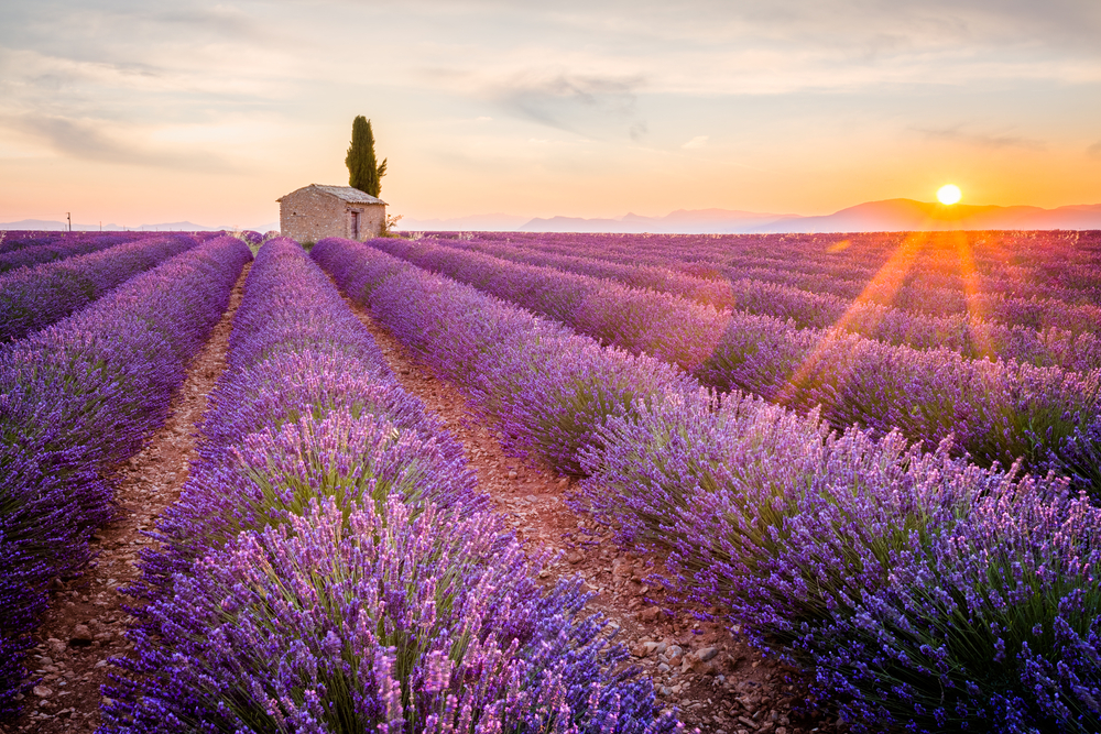 Provence, Riviera, France, Europe, Travel