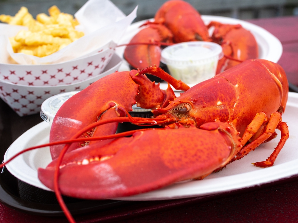 Lobster, Maine