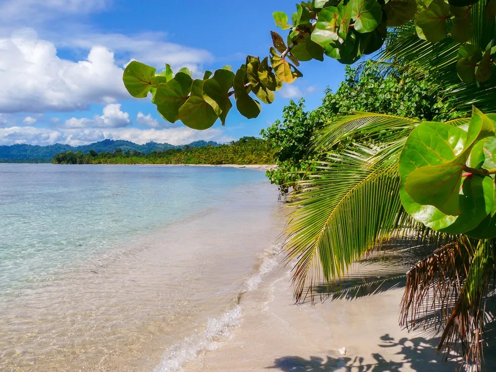 Cahuita National Park, Caribbean Coast, Costa Rica