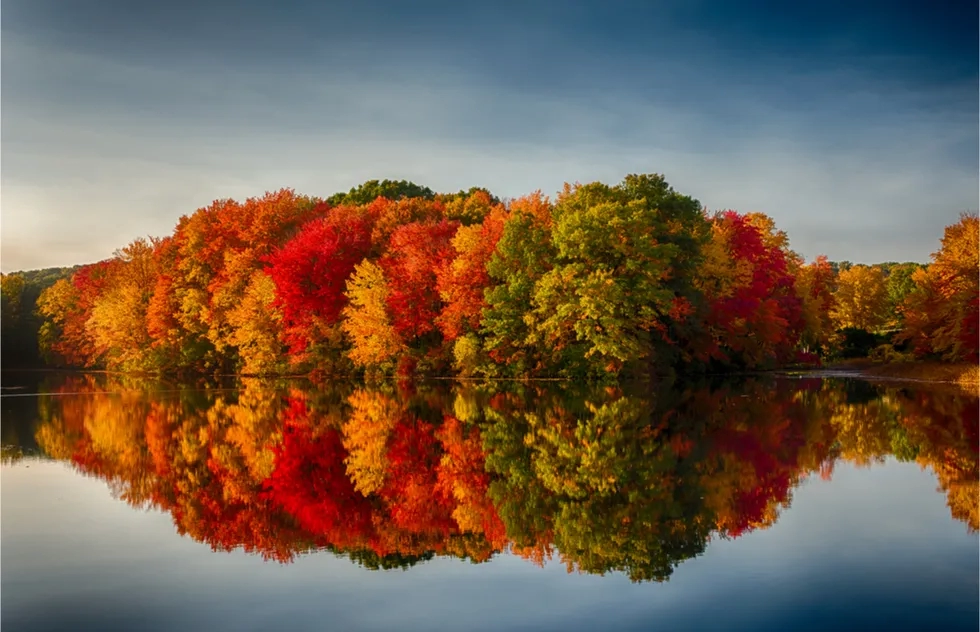 Massachusetts, Fall Foliage, New England, United States, Leaf Peeping