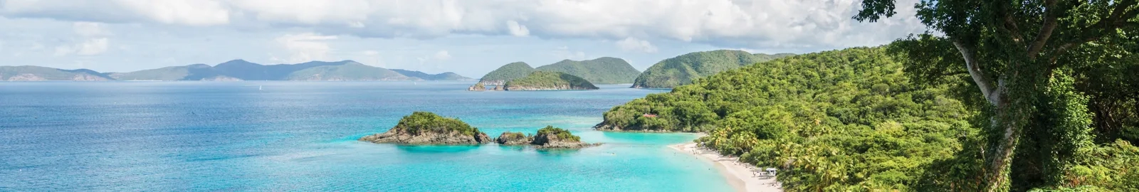 Usvi