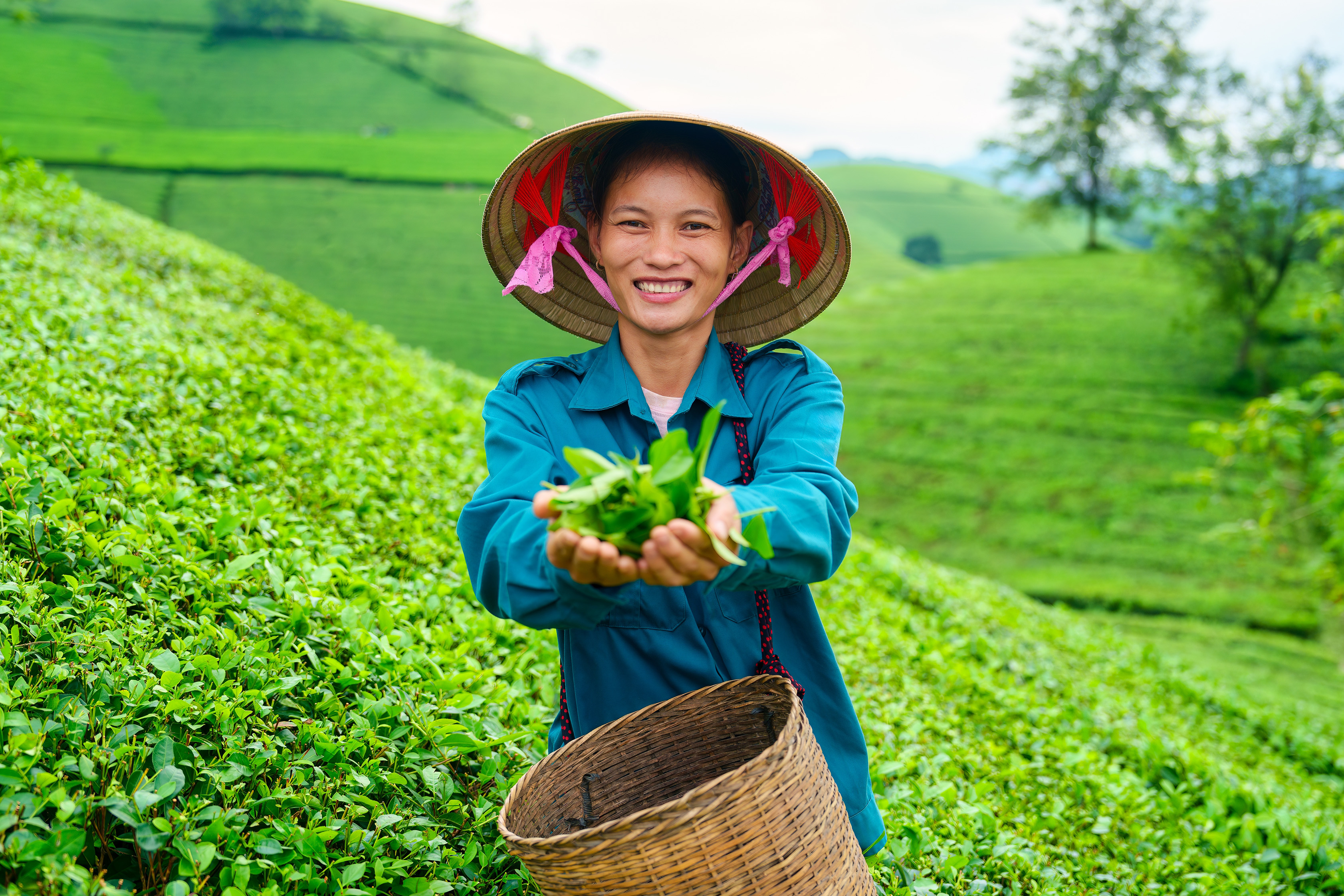 Vietnam, Asia, Travel
