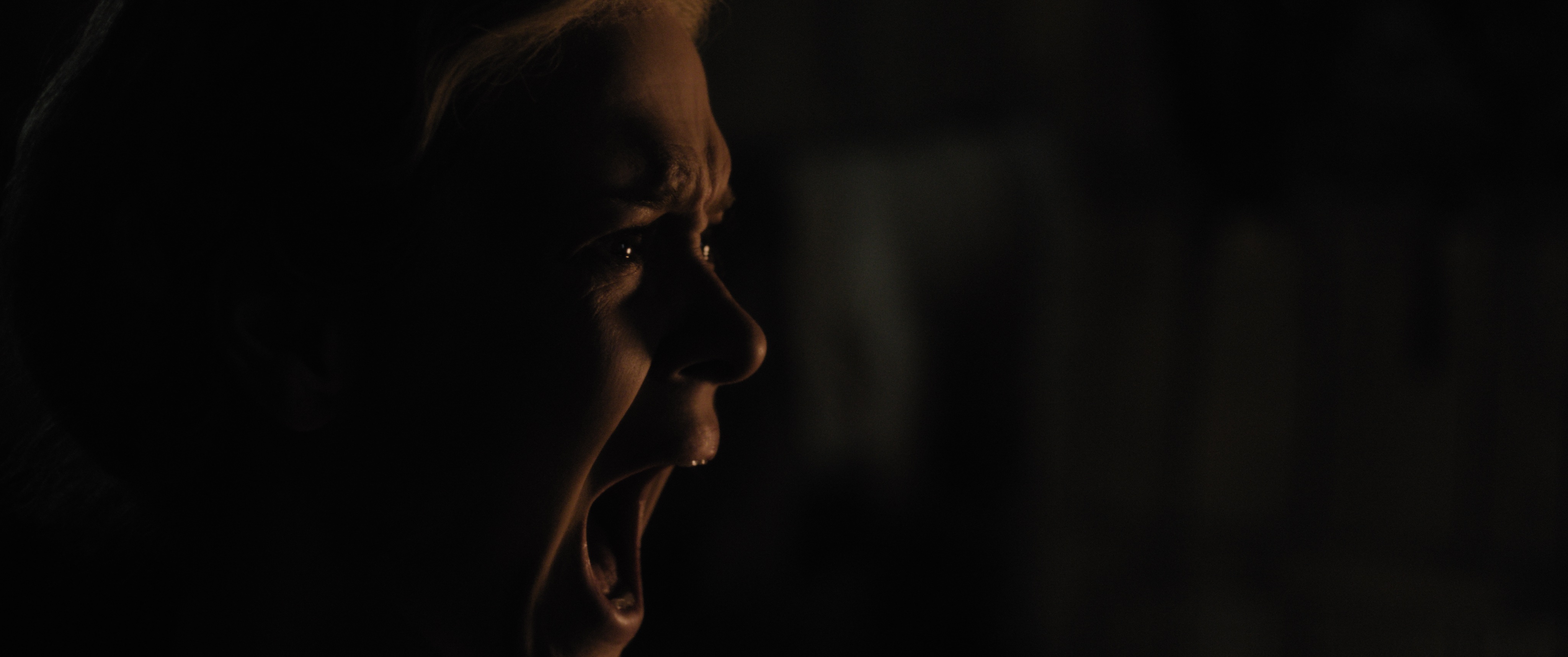 HYB Rec709 Gamma2 4 4096x1716 LUT 12184916 2024 08 07 202750 pded