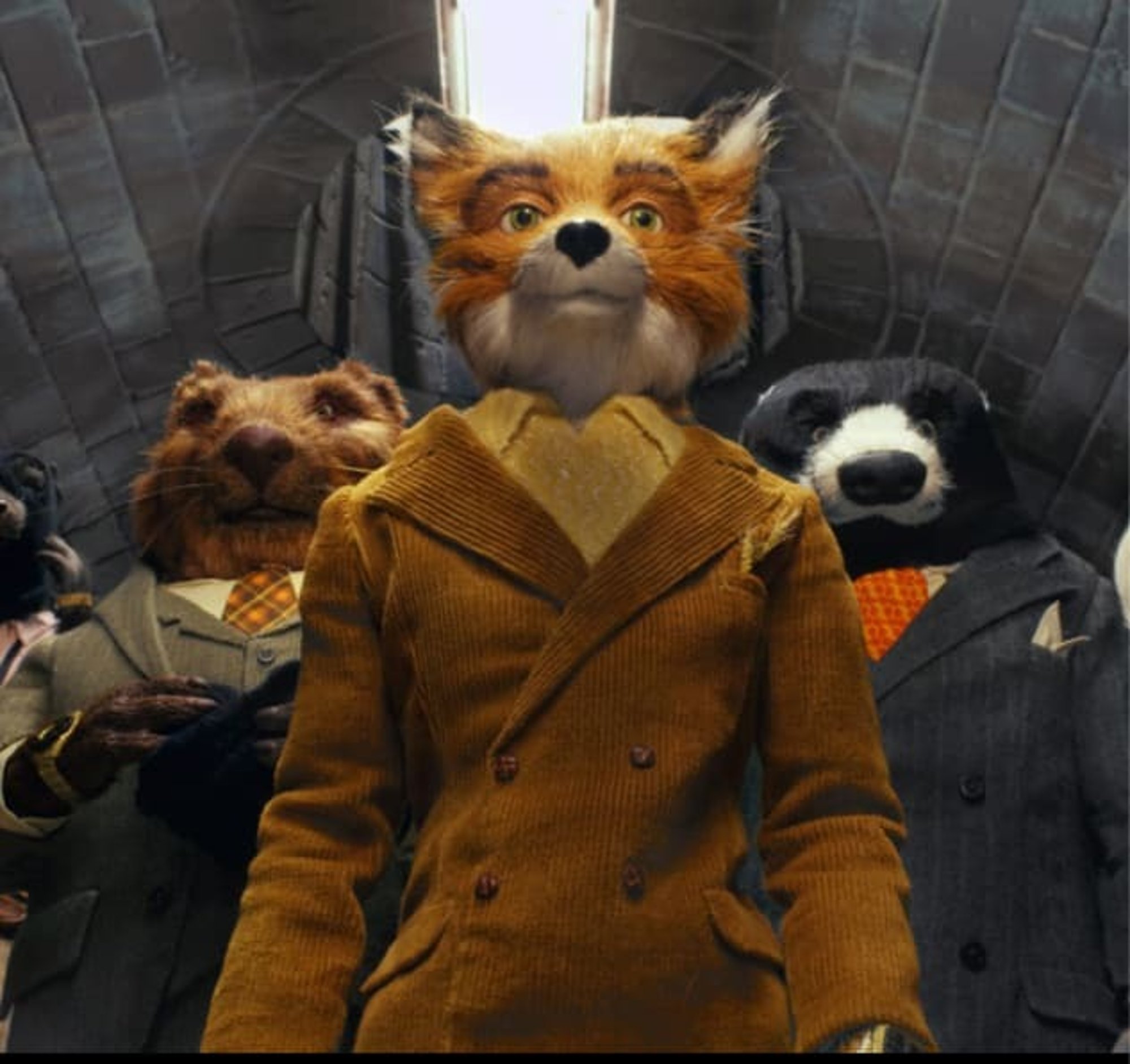 Wes anderson 3