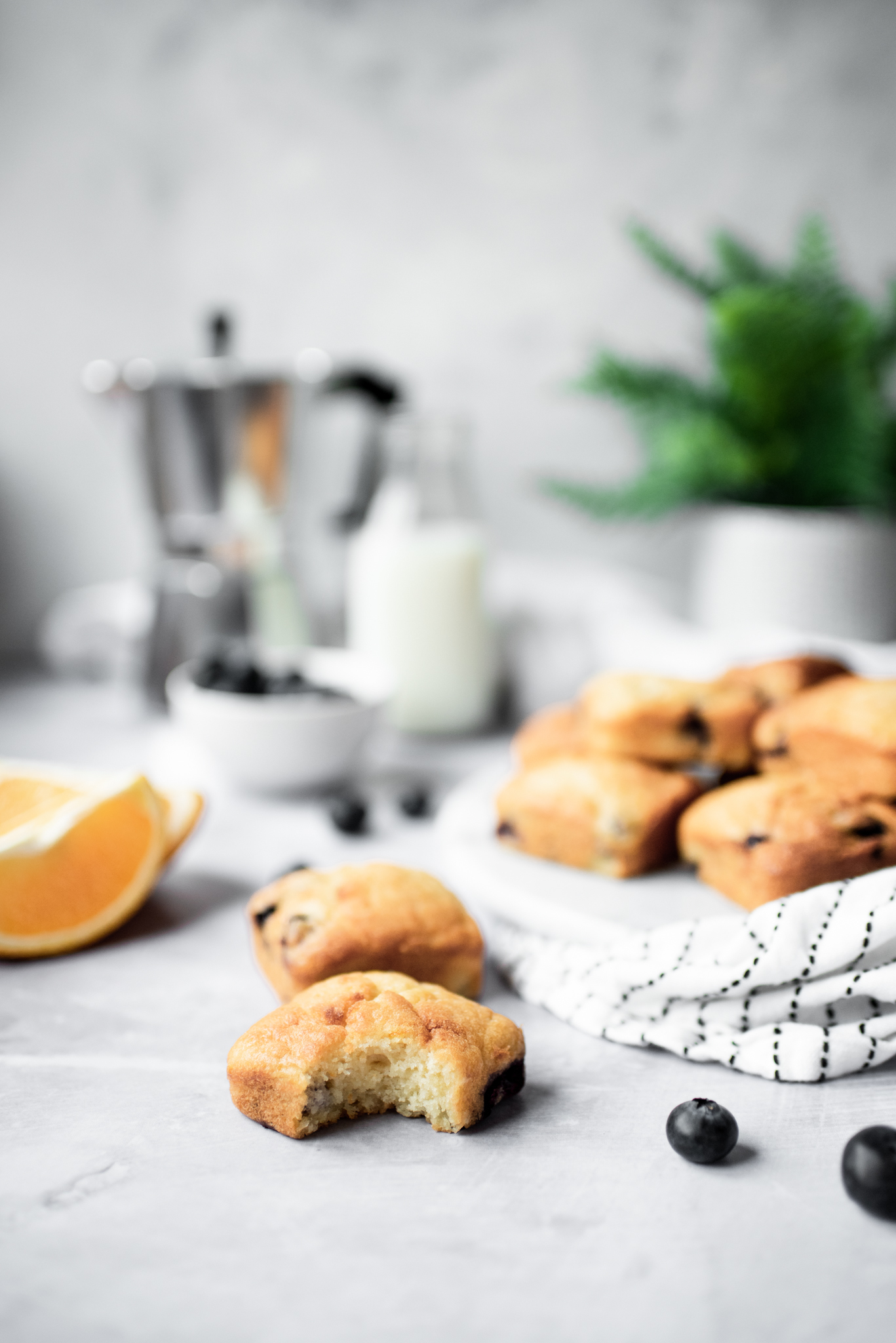 Orange and Blueberry Squares | Truvía®