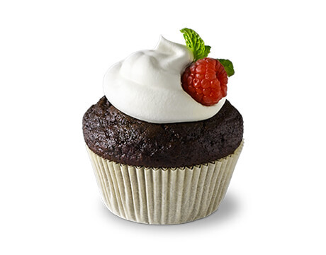 Chocolate Cupcake with frosting and raspberry