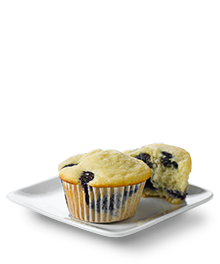 results Reduced Sugar Blueberry Muffin 3