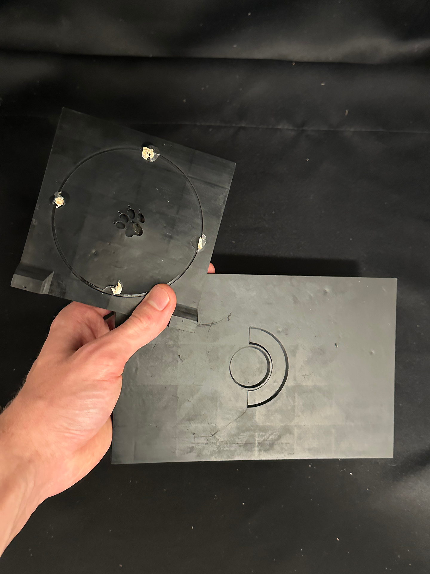 Celebrating The Last of Us Day 2024