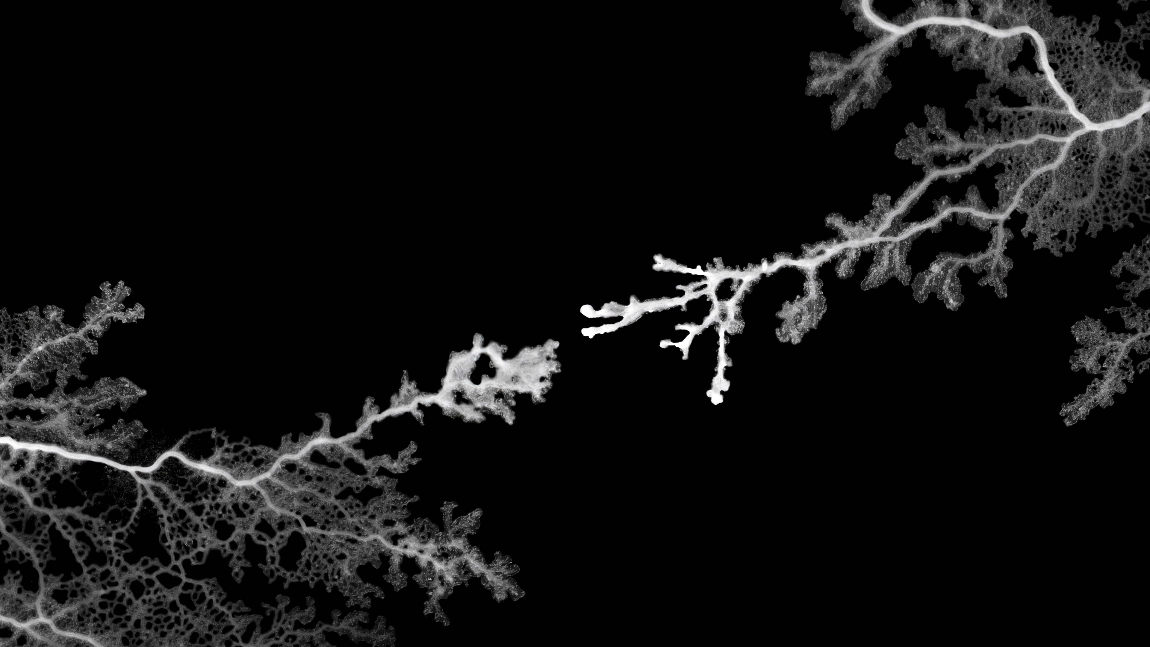 Mold Wallpapers 16x9 001