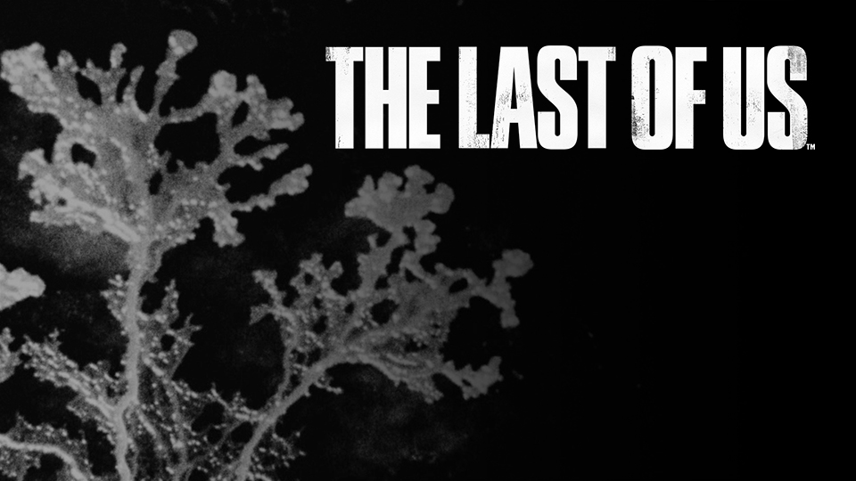 The Last of Us Outbreak Day 2015