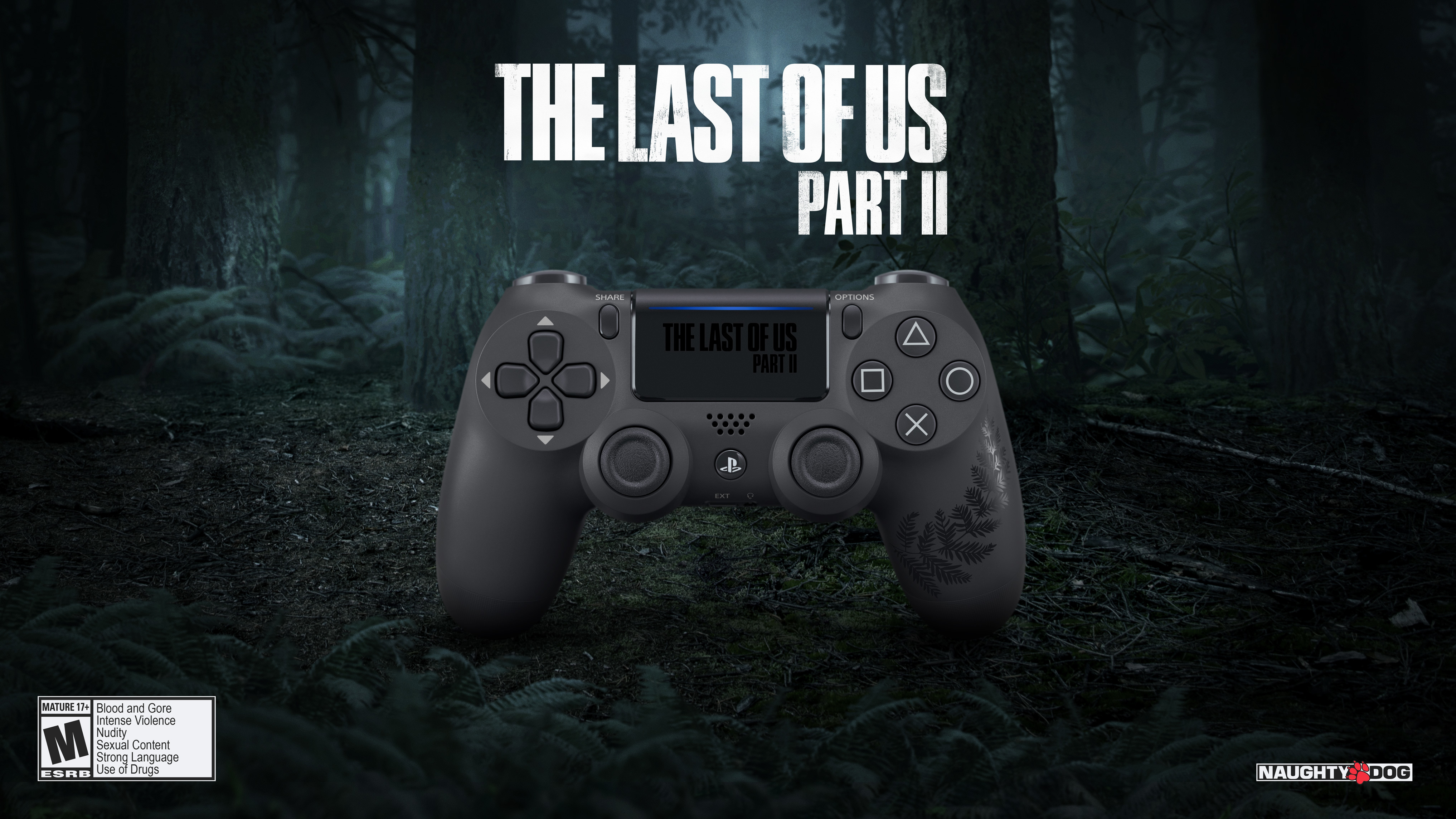 TLOU2 DS4 STATIC VIDEO 001