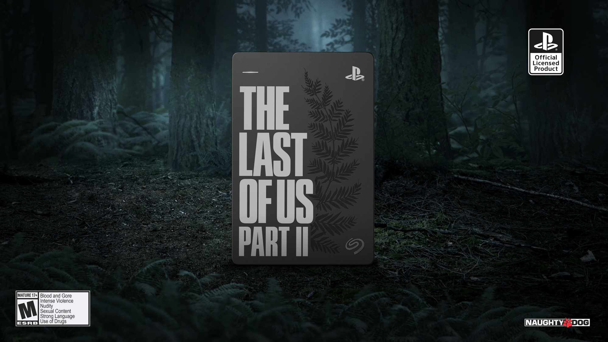 TLOU2 HDD STATIC VIDEO 001 1
