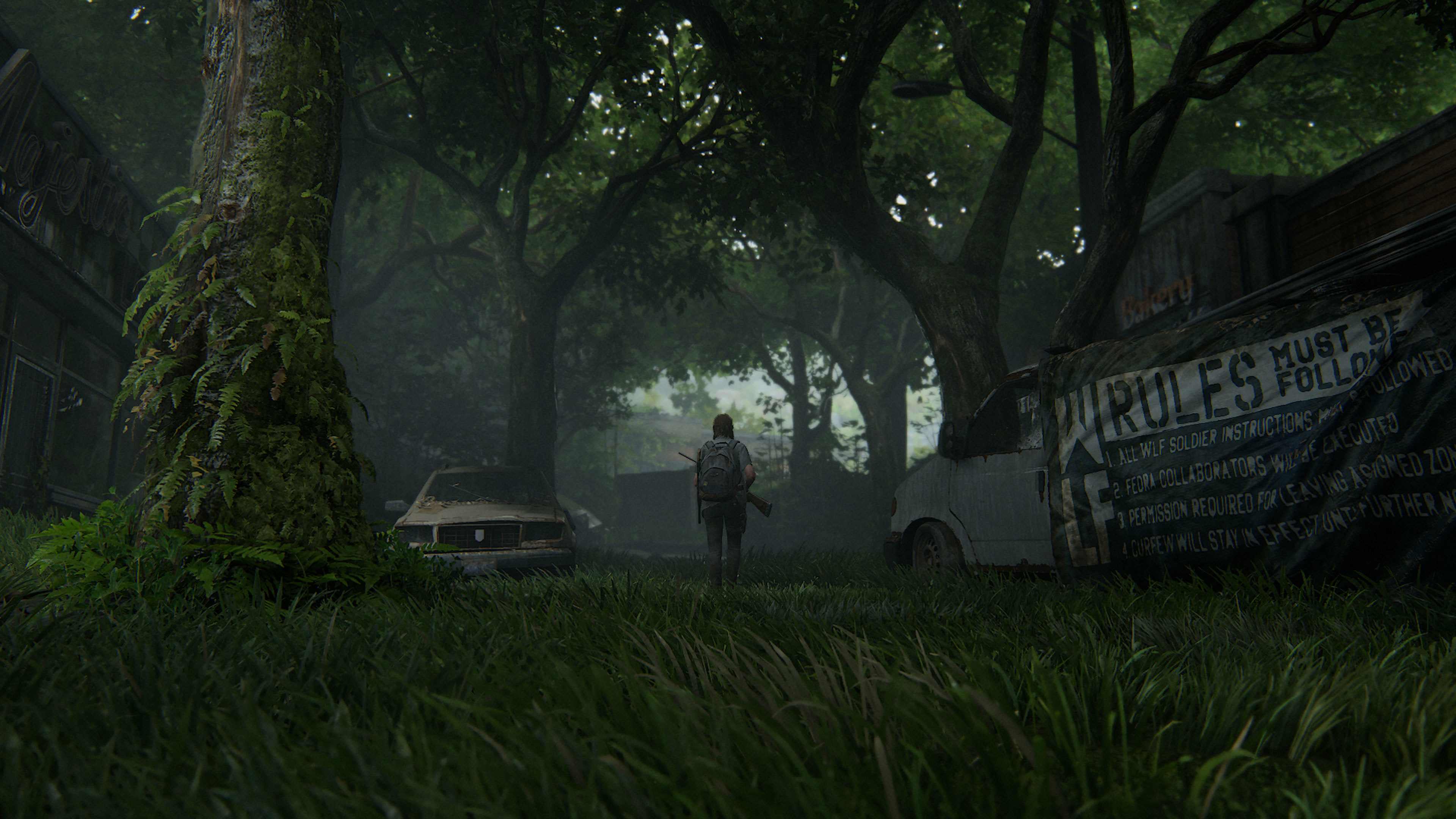 The Last of Us Part II Photo Mode Contest Winners