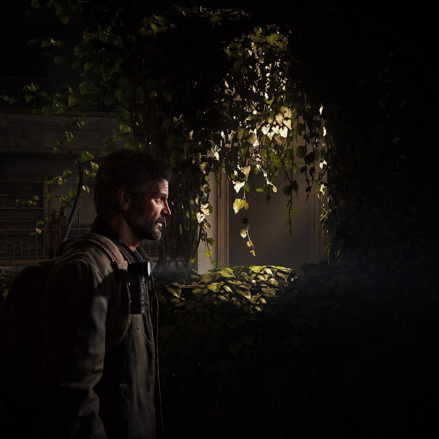 Credit: amaphotomode (Instagram)