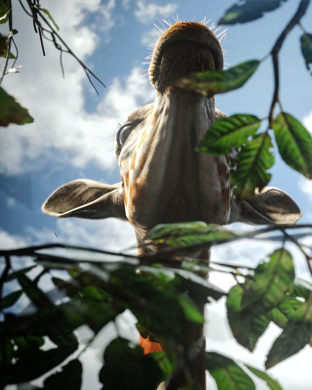 Credit: andre_revolution (Instagram)