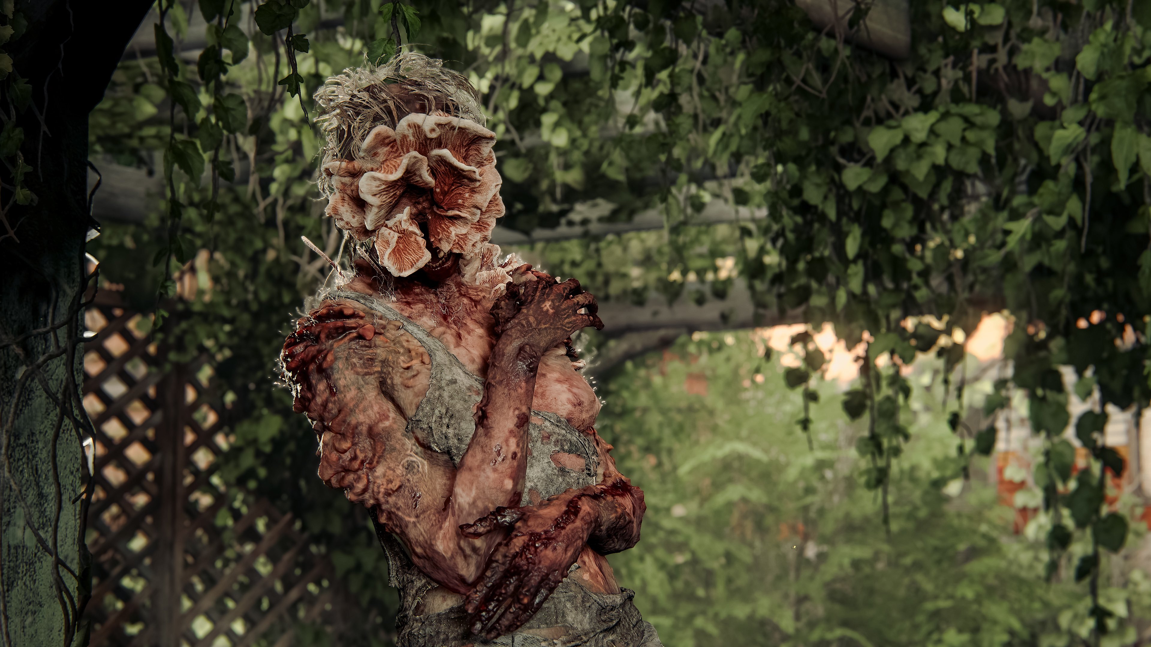 Credit: coalabr14 (Twitter)