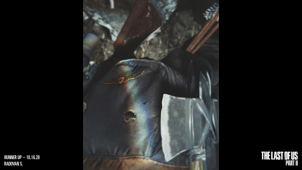 Runner Up: Radovan S.