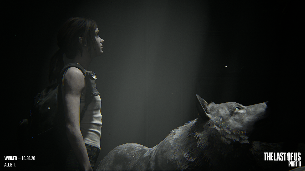 The Last of Us Part II Photo Mode Contest Winners