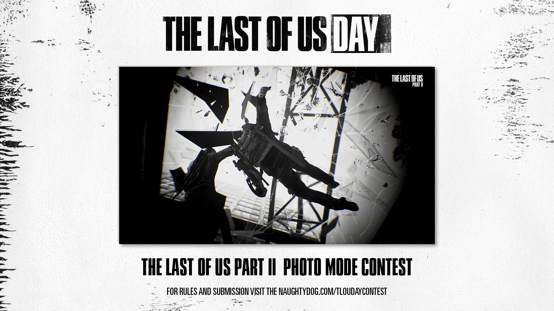 The Last of Us Part II Photo Mode Contest Winners