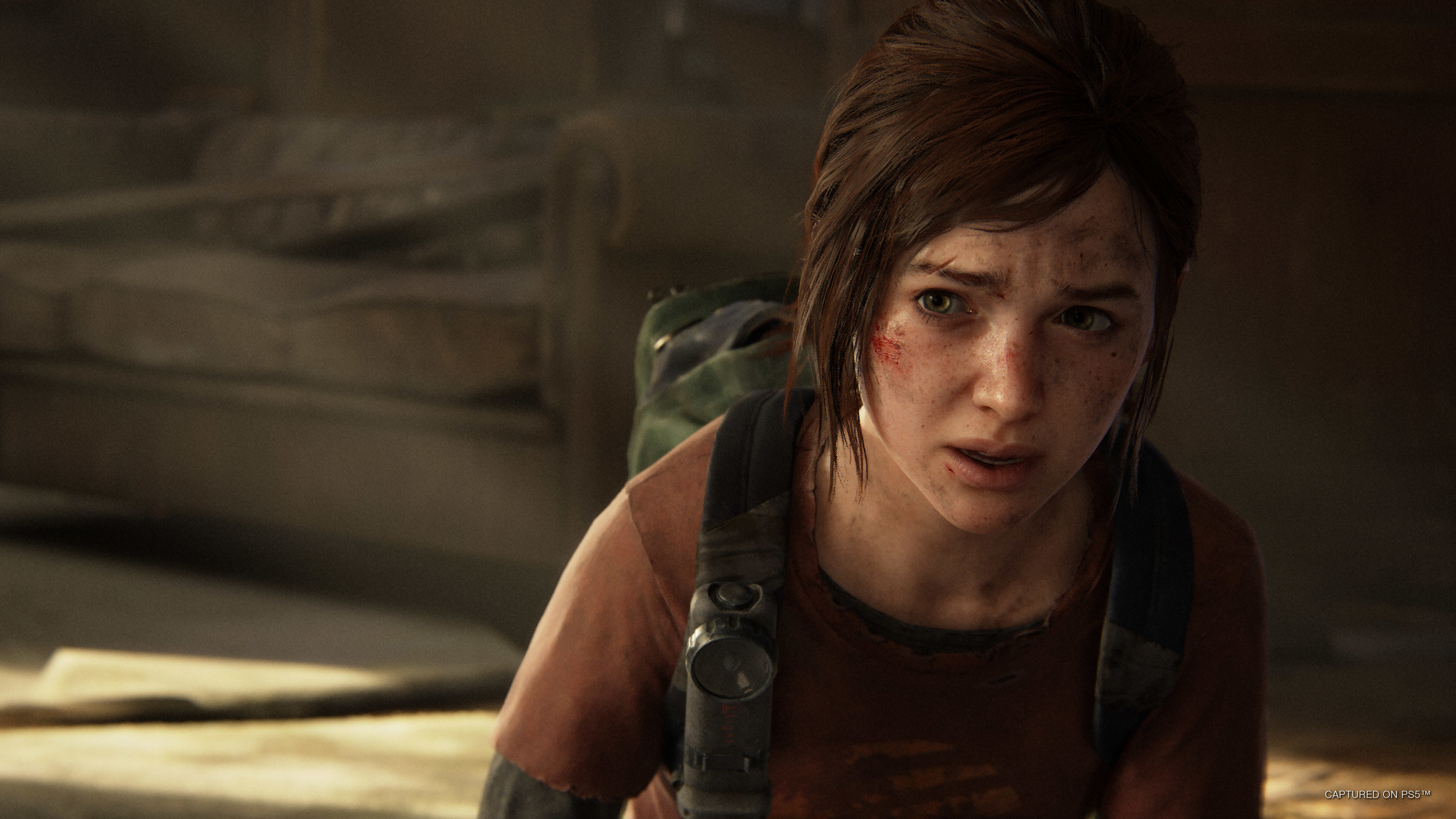 The Growing Future of The Last of Us