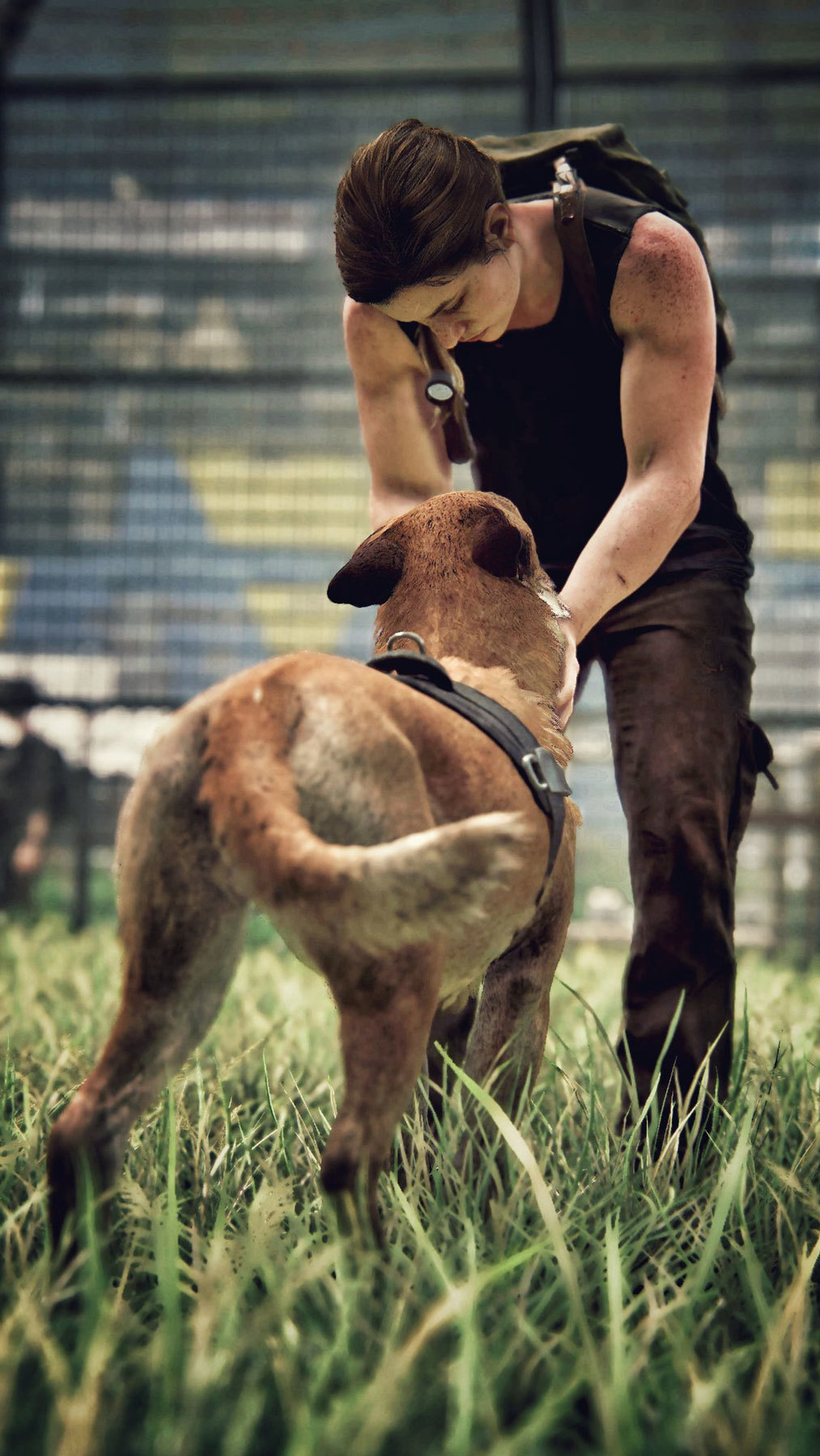 Credit: MindJackedJimmy (Twitter)