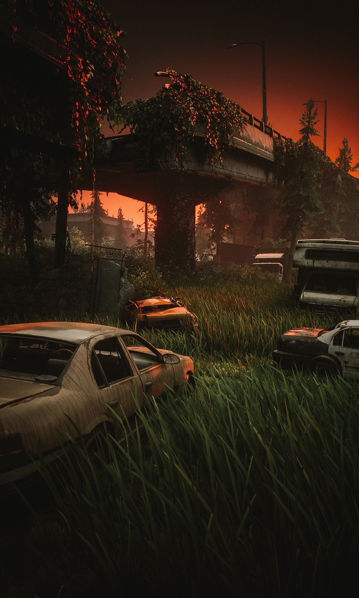 Credit: eveygamephoto (Twitter)