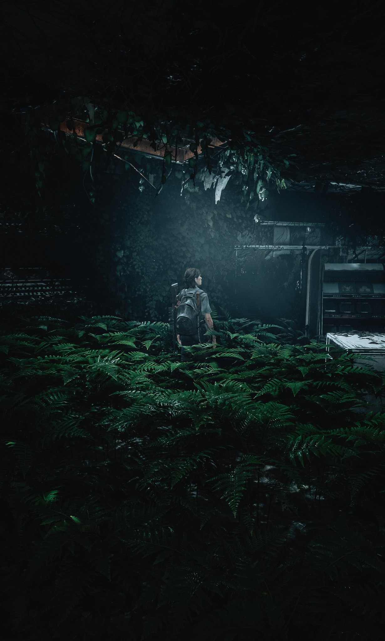 Credit: eveygamephoto (Twitter)