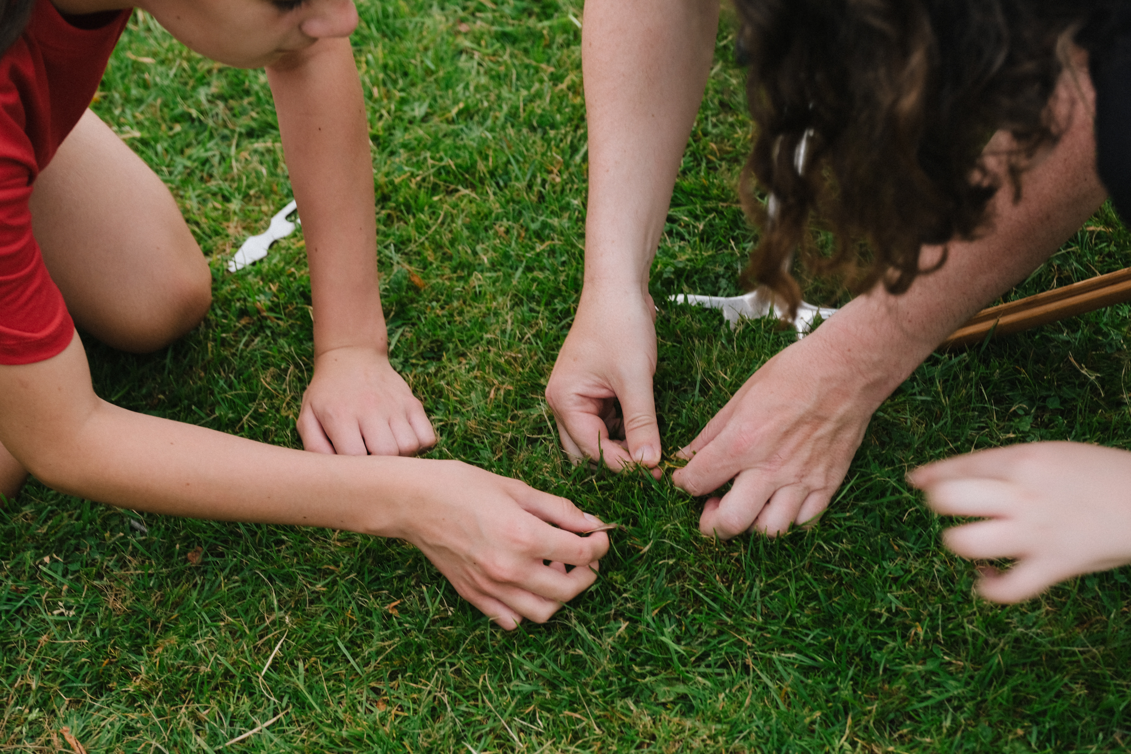 Multiple hands reaching towards centre on green grass, forming circle. People wearing red and white tops visible at edges.
