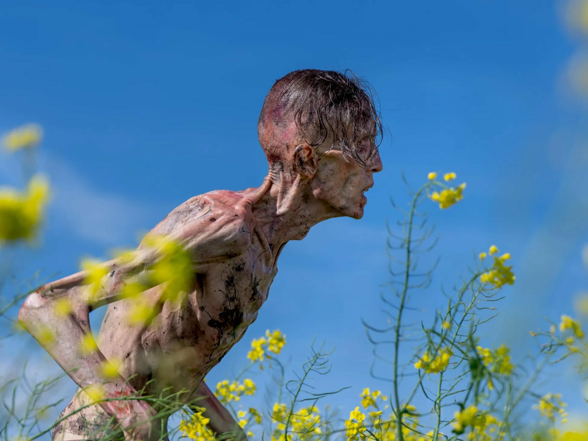 A zombie crouching amongst yellow wildflowers against blue sky, partially obscured by foreground blooms.