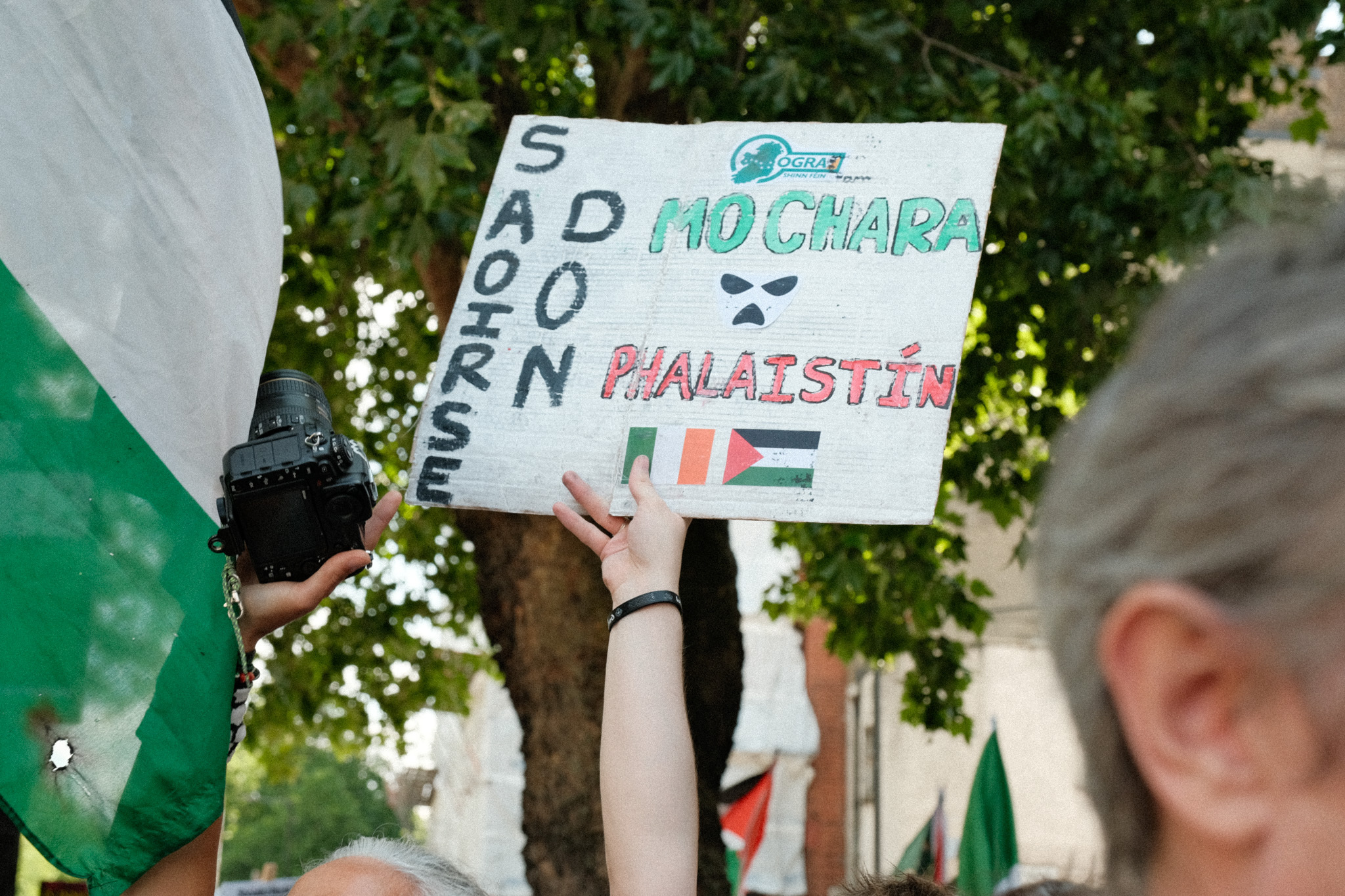 Protest sign with text "SADOGAR MODI HACHARA BALESTINE" and Palestinian flag