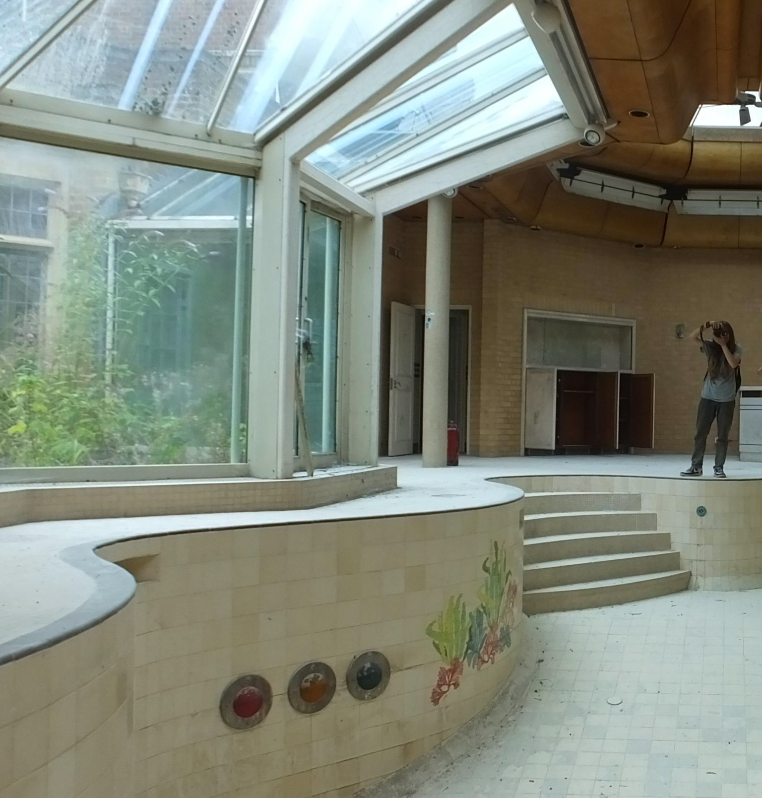 Indoor swimming pool with glass ceiling and walls, concrete steps, decorative tiles on pool edge, person standing in background.