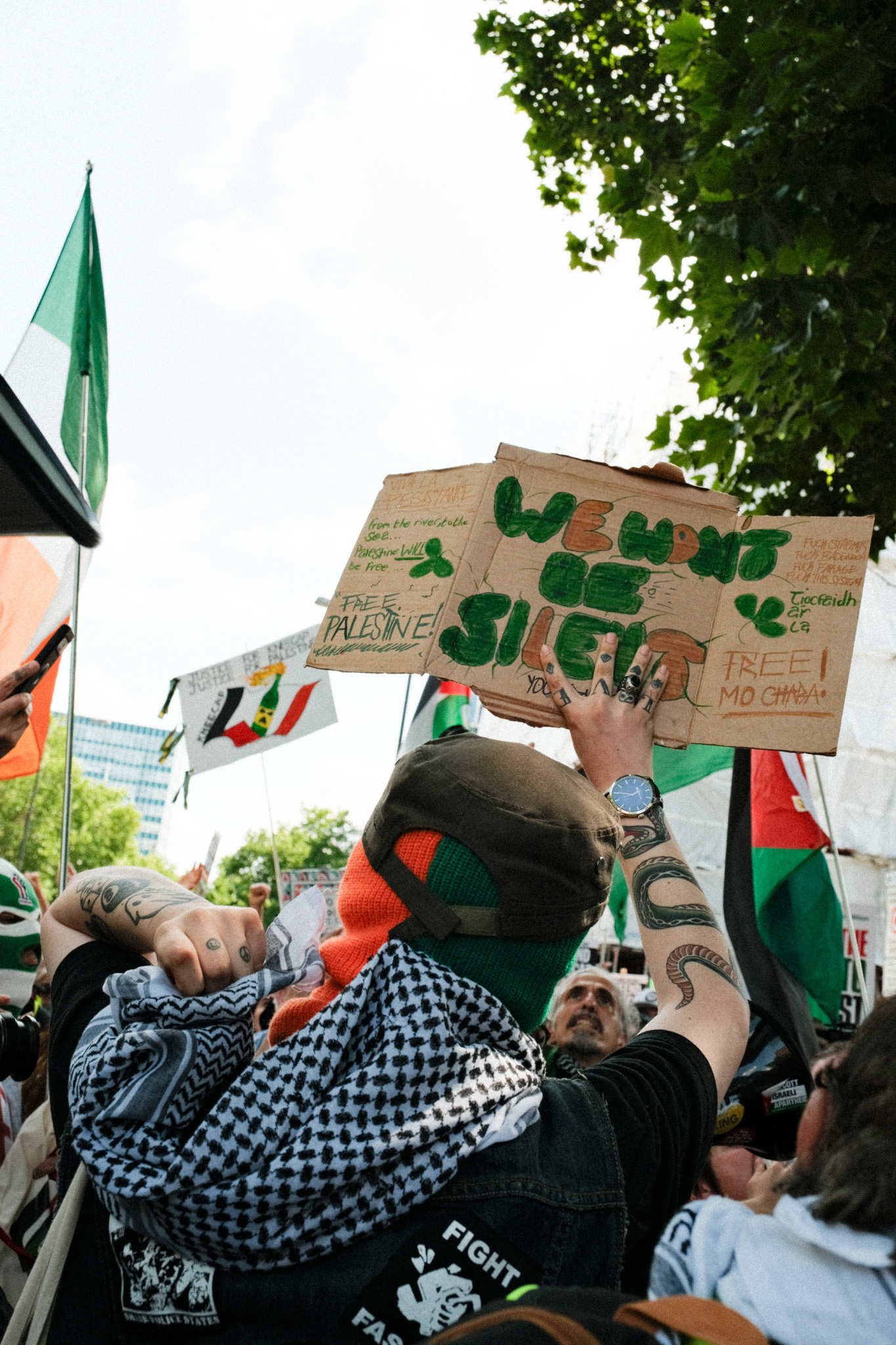Crowd holding protest signs, green flags, and Palestinian flags at outdoor rally