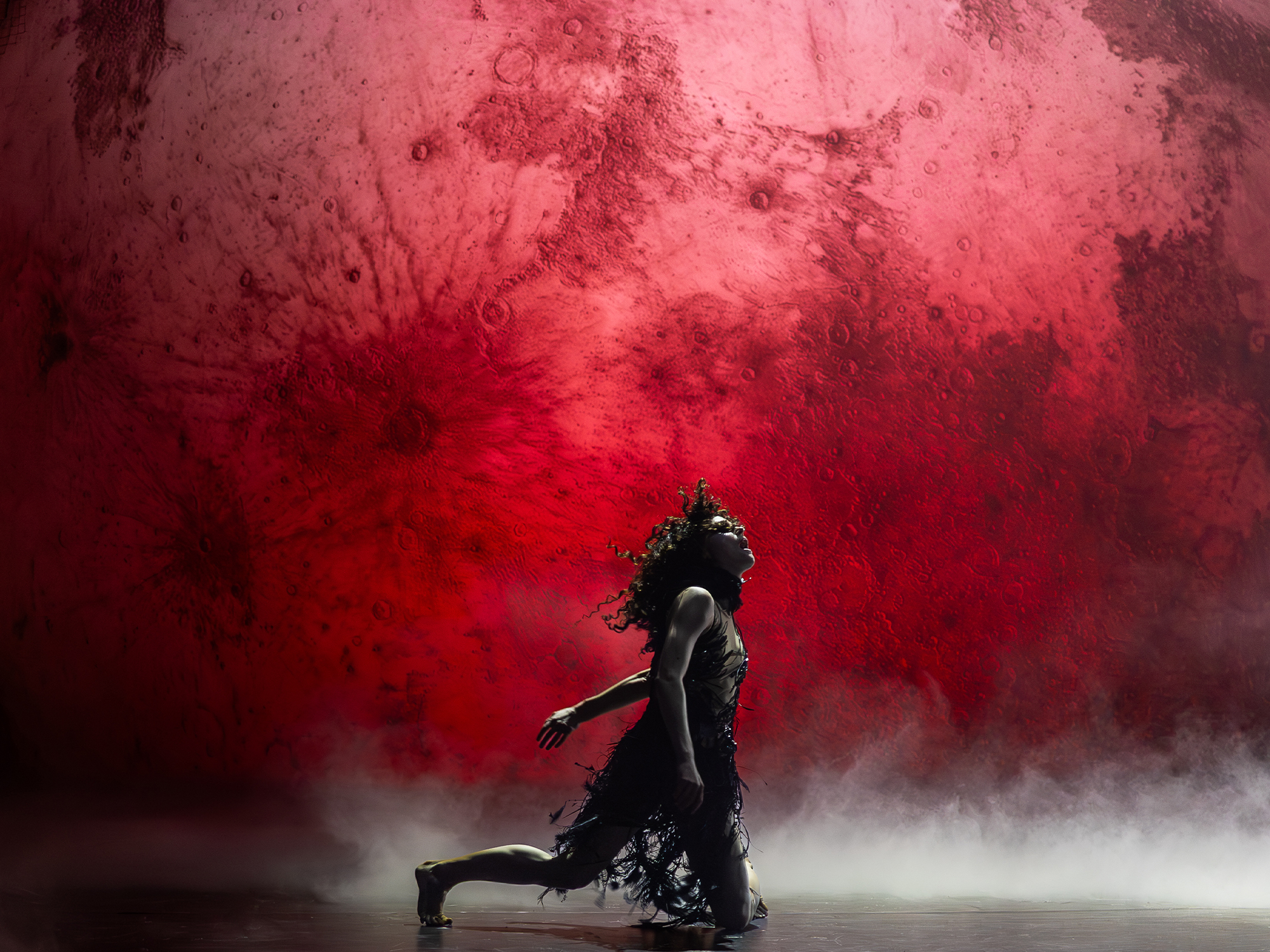 Black Swan at the A.R.T: an unearthly medley of film, musical theatre…
