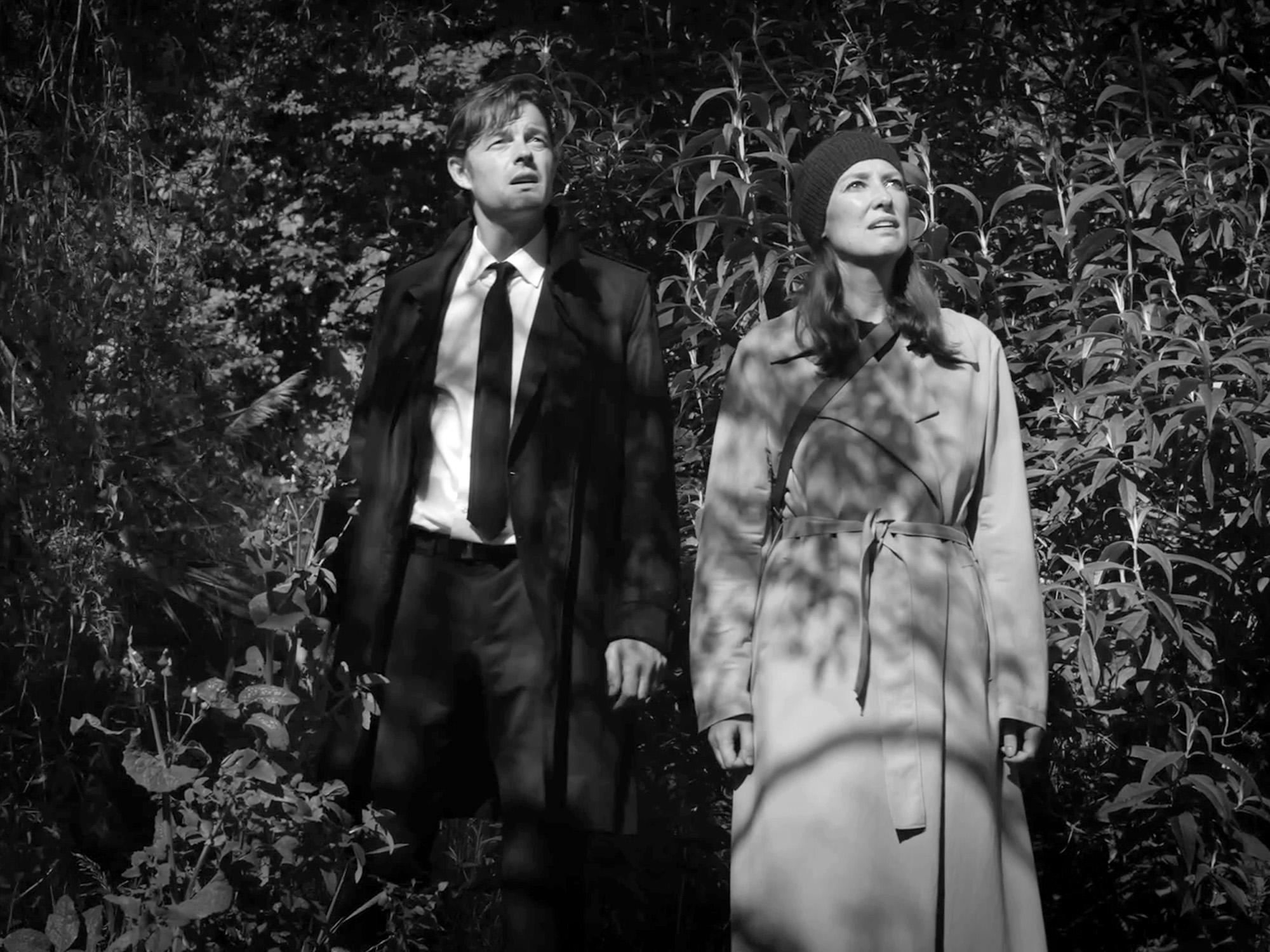 Man in dark suit and woman in light coat standing amongst dense foliage, both looking upward. Black and white photograph.