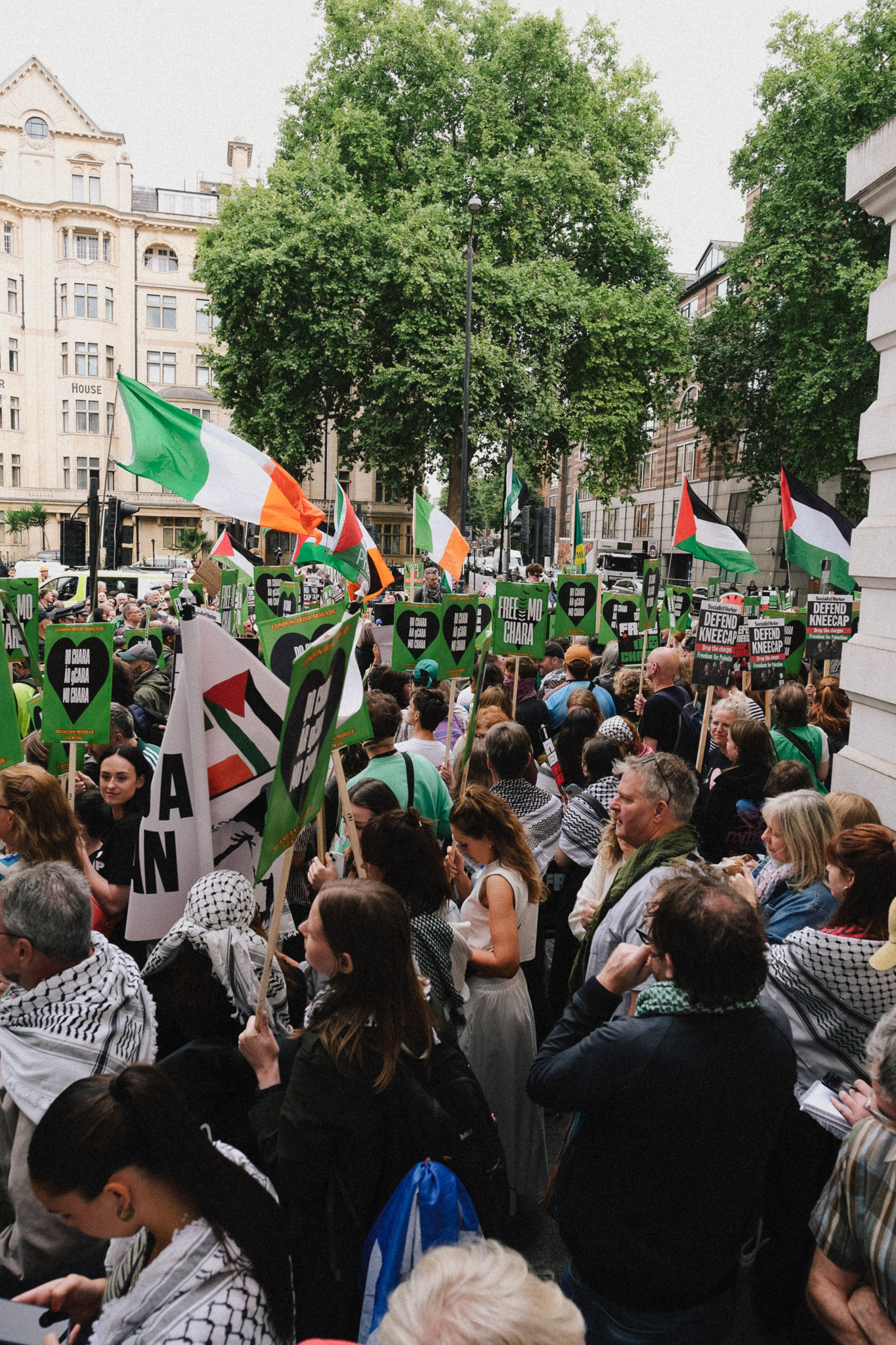 Large crowd gathered in city square holding Palestinian, Irish, and other flags with protest banners amongst leafy green trees.