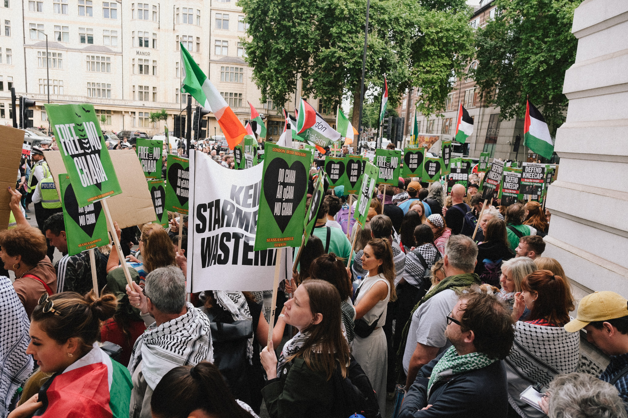 Crowd of protesters holding green, white and black signs and Palestinian flags on city street with buildings and trees in background.