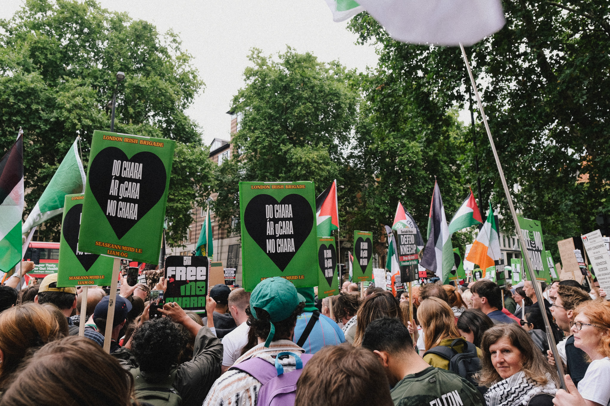 Crowd holding green and black protest banners with white text, Palestinian flags, and placards in tree-lined street setting.